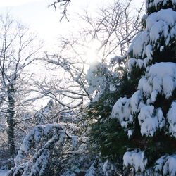 Winterimpressionen